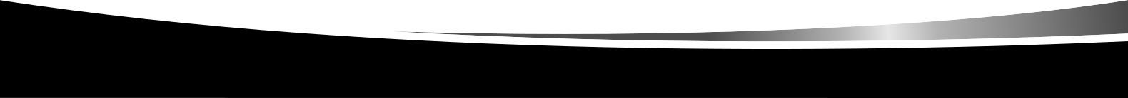 Silverline-IT footer